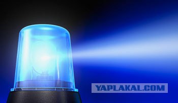 Очень странная история про навигатор с пробками