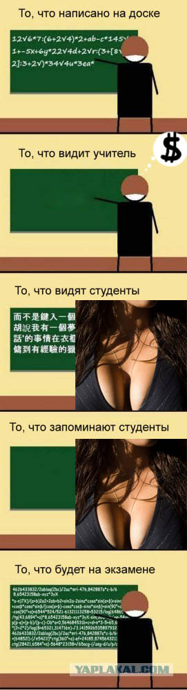 А в это время сессия...