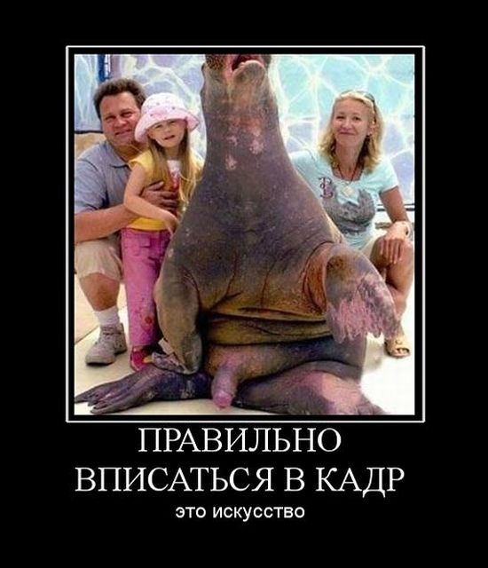 Демотиваторов пост, добавляйте свои