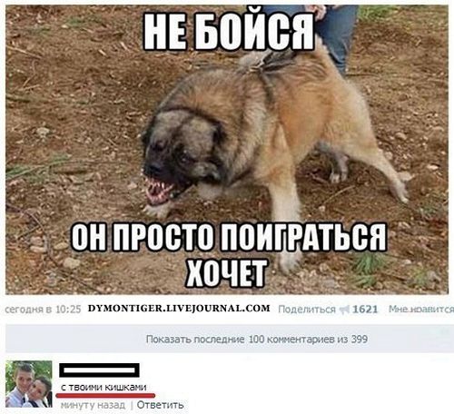 Комментарии из соцсетей, картинки