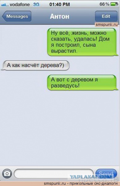Смешные комментарии из социальных сетей 11.11.2014