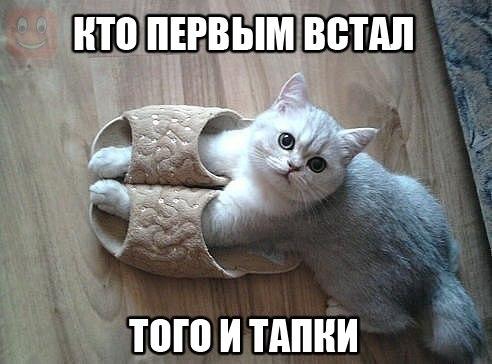 Веселые картинки