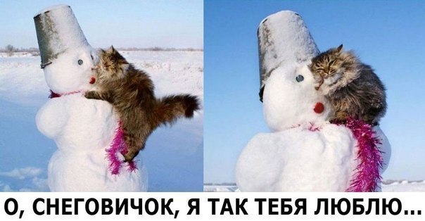Зима - кошарки торжествуют!