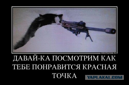 Весёлое из сети