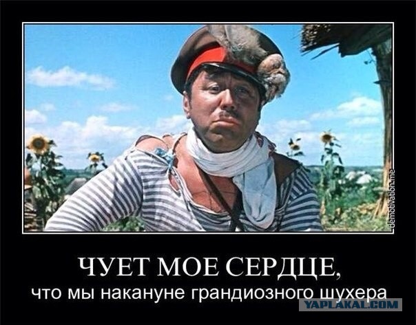 Житель Мурманска снял на видео полярное сияние