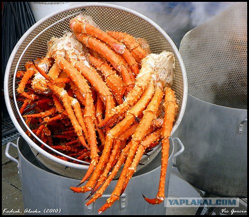 Руководство по морепродуктам