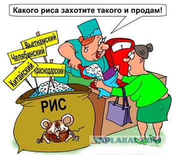 Беспросветная тупость Киева