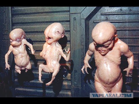 Музей судебной медицины