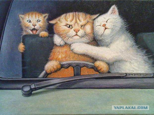 Кот Вася