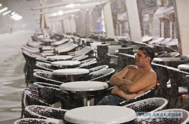 Разные картинки из сети