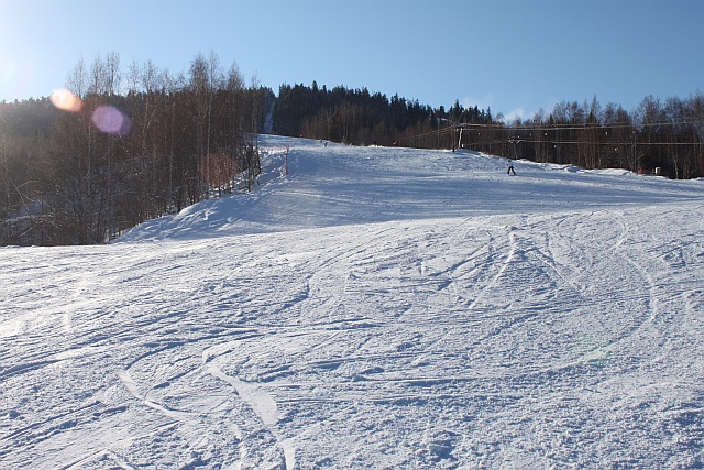 Последствия аномально теплой погоды в Москве