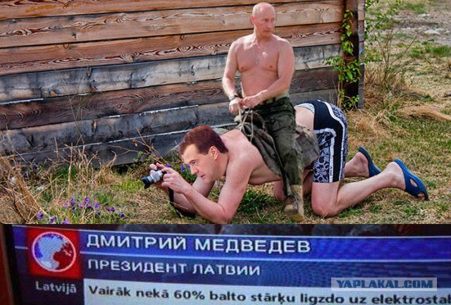 Жаба: Фотолюбитель