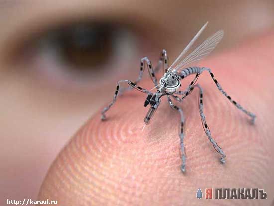 НАСЕКОМЫЕ. Мухи, бабочки, мотыльки, моль, и все летающие твари, пауки