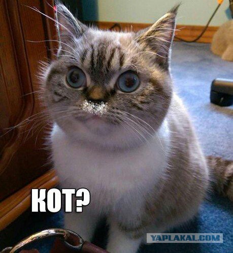 Абсурдный юмор ч.7