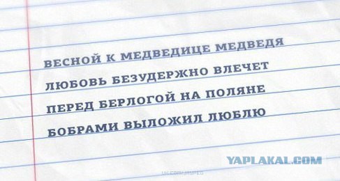 Абсурдная субботница