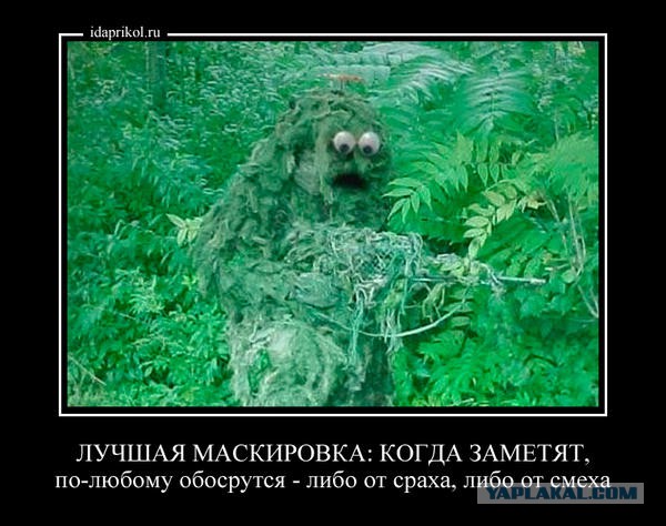 Подборка интересных и веселых картинок