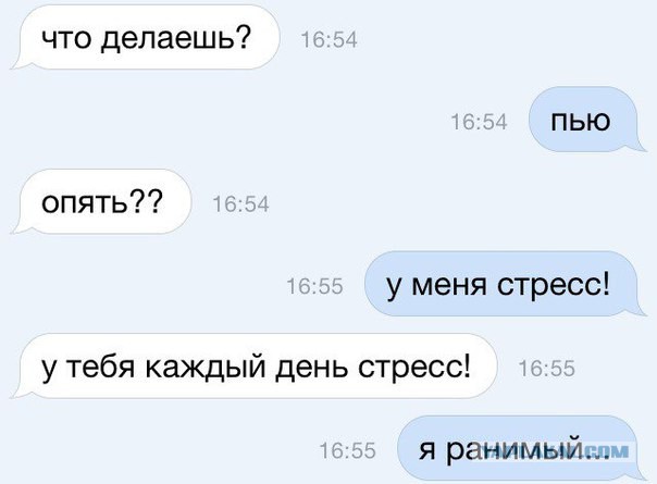 Подборка интересных и веселых картинок