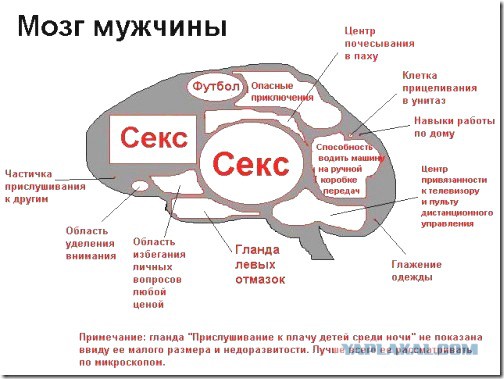 Почему мужчины и женщины мыслят по-разному. Гениальное объяснение!