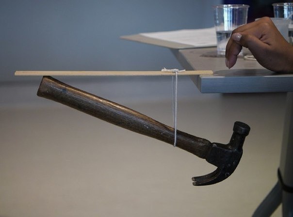 Интересные и веселые картинки