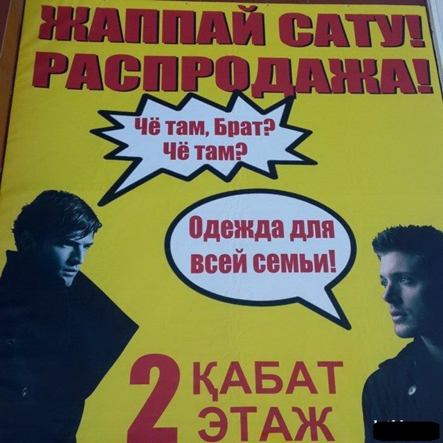 Сломанная челюсть подарила кошке загадочную улыбку