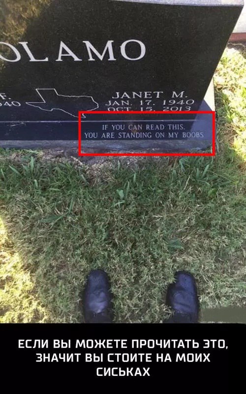 Ужасы и приколы из соцсетей 18+