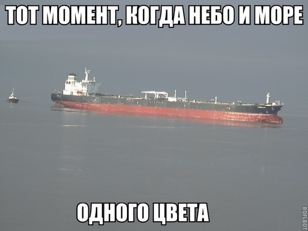 Ассорти картинок из сети