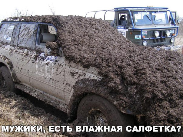 Ассорти картинок из сети