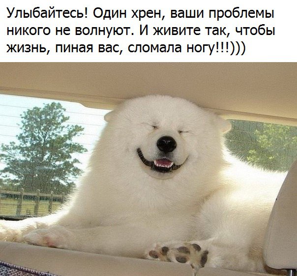 Немного позитива на выходной я начну а вы продолжите
