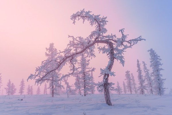 Моменты, запечатлённые на фото и просто позитив 5