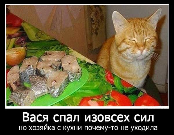 Деградировать подано