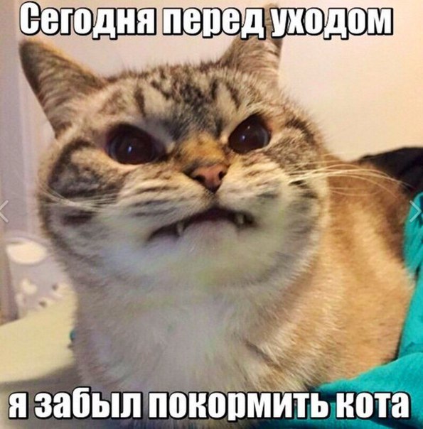 Картинок разных пост
