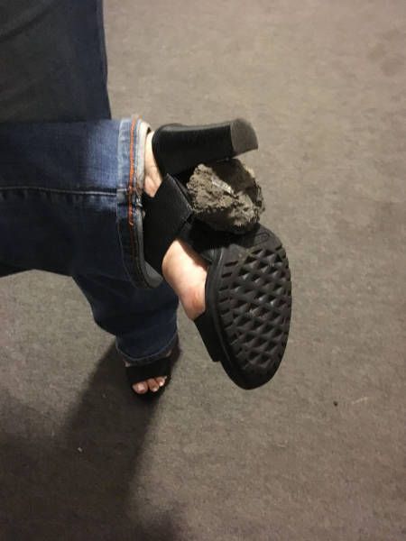 Весёлые картинки
