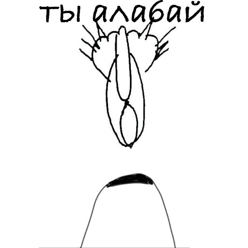 Как определить свою породу? Пособие для собак