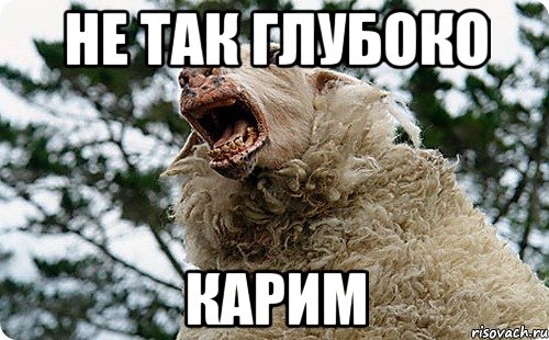 О тяжелой женской доле