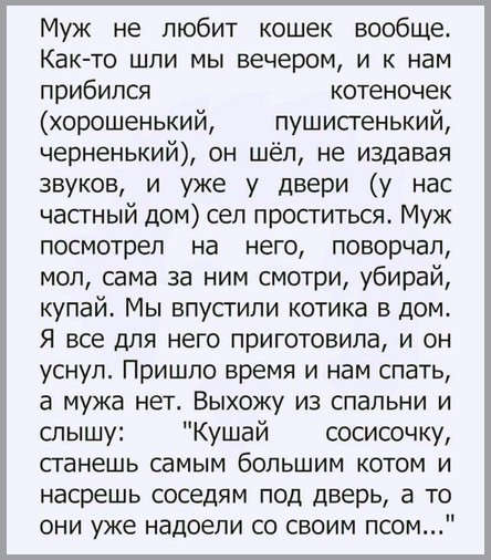Нестандартный юмор