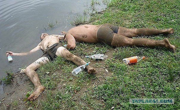Паскудный, однако, народец