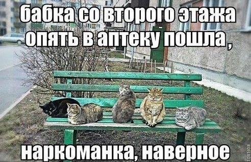 10 минут медицинской деградации заменяют 136 грамм сметаны