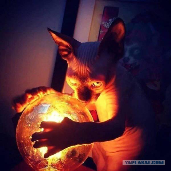 Людоед