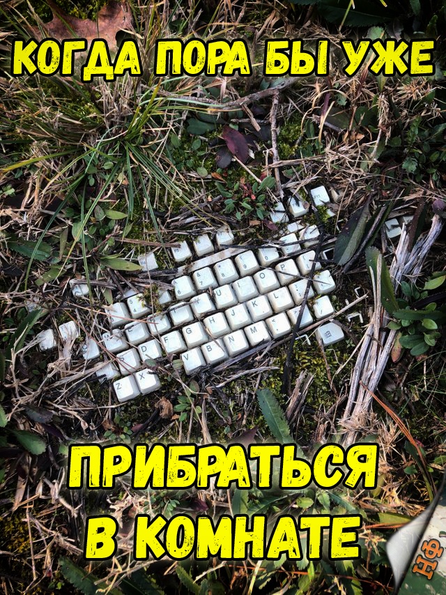 Нестандартный юмор