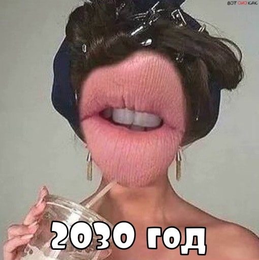 13270361.jpg