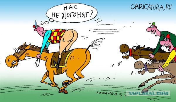 Из ЗАГСа в катафалк или "новая лошадиная свадьба"