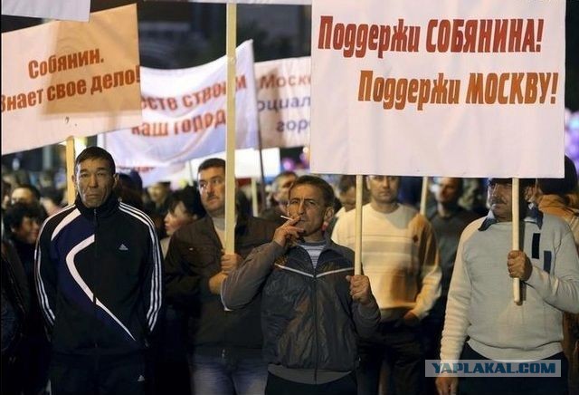 "В подметки не годится Лужкову" мнение москвичей о Собянине