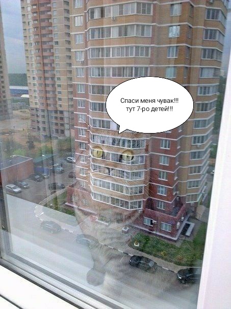 Радости промышленных альпинистов