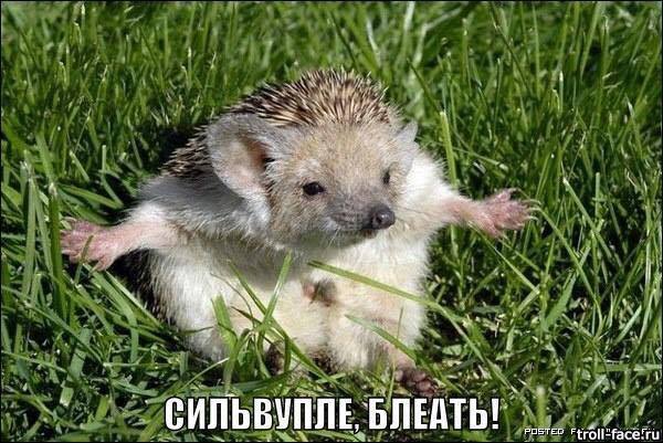 Та еще работенка: подборка фотографий для тех, кому надоело сидеть в офисе