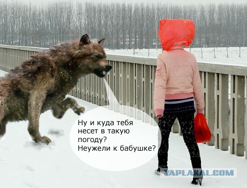 Красная "шапочка"