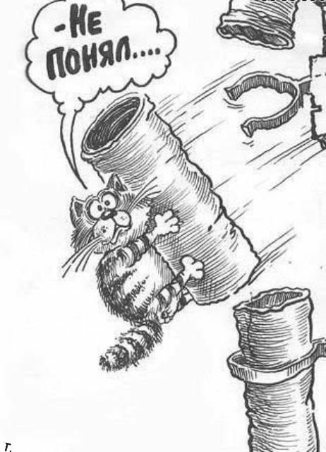 С котопятницей! Улыбнемся?