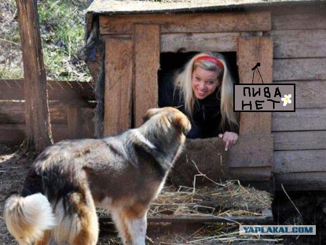 Фотожаба: Собака с Девушкой