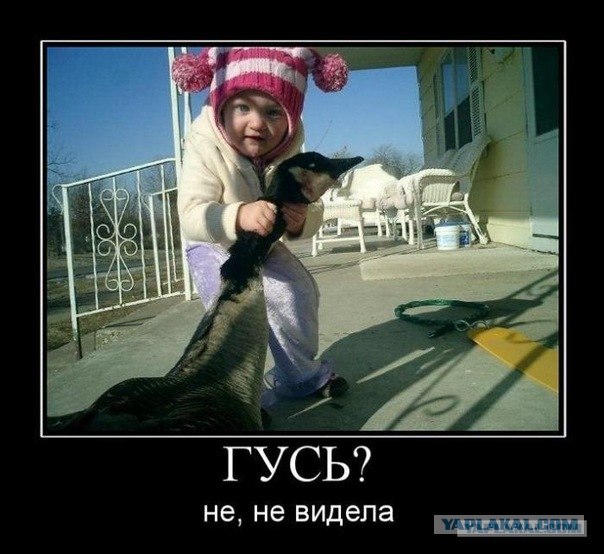 Злобный гусь