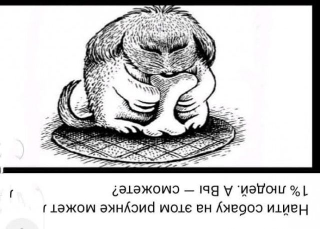 Всяческие картинки 22.06.2021