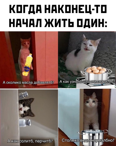 Баянисто-небаянистый юмор 15.08.21
